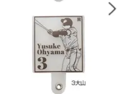 Item thumbnail for item 1e85231e-b660-48fc-8a67-91742d1b2b0c