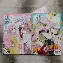 悪党のお父様、私と結婚してください♡ グッズ ルームアクリルスタンド 悪党のお父様、私と結婚してください アクリルスタンド - メルカリ