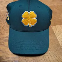 Item thumbnail for item 69288f72-7f3a-4338-9e3c-812b449f8f2e