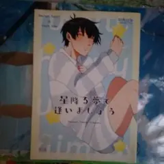 星降る夢で逢いましょう 同人誌