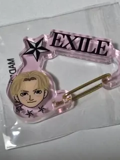 藤原樹 缶バッジ2個セット 実写 ネーム EXILE THE REASON - メルカリ