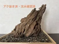 2025年最新】マシンガンウッドの人気アイテム - メルカリ