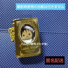 ガチャ詰めポーチ シルバニア 魔法の書　⑥