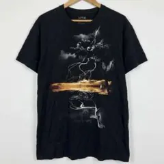 アプトナイン 半袖Tシャツ クルーネック グラフィック XL 黒 綿 デート