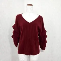 SPRAY プレミアム ティアードスリーブニット Vネック ボルドー系（M）