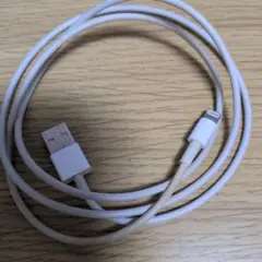 Lightning - USB Type-A ケーブル