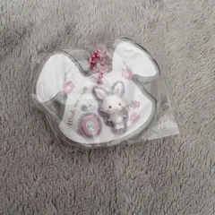 サンリオパッケージチャーム　ウィッシュミーメル