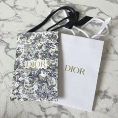 Dior ディオール 紙袋 ギフト プレゼント 2枚セット