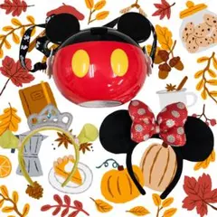 【TDR限定】ディズニー 3点セット＊ミニー／プリンセス／ミッキー限定バケット