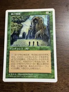 MTG アルターネイト版】《森の知恵/Sylvan Library 4ED EN - メルカリ