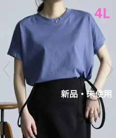 【新品未使用】RANAN ひんやりUVカットプチハイネックカットソー 綿100%のサムネイル
