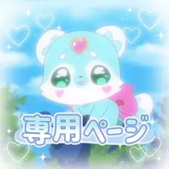 専用ページ∗*゜