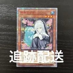 2026年最新】儚無みずき 20thの人気アイテム - メルカリ