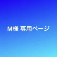 専用ページです