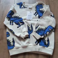 ZARA キッズ トレーナー 恐竜柄 116cm