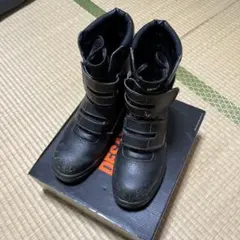 Item thumbnail for item 2478e55f-a9cc-402d-b4f1-74166d1ac67e