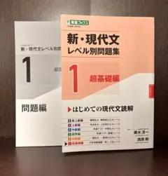 新・現代文レベル別問題集 1 超基礎編 2冊セット