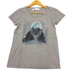 ティシャツ 半袖