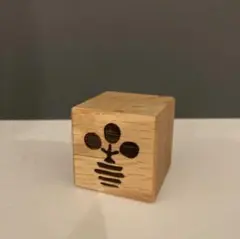 kinoco ×raw life factory 木製台座&キューブ TRUNKWARE