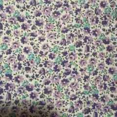 Item thumbnail for item 3d0ec631-3a6e-49f2-984a-bde1ad9e7d00