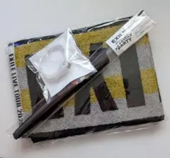 EXILE マフラータオル フラッグ ライトブレス REASON ライブグッズ