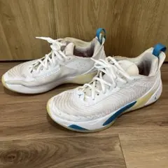 ジョーダン ルカ1 27.5cm