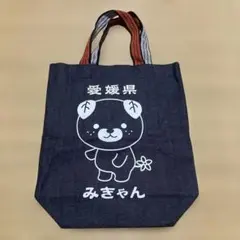 Item thumbnail for item d61eddf9-fc5d-475f-9801-2ee377e5517e