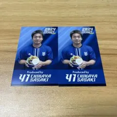 横浜DeNAベイスターズ プロデュースグルメ カード 2枚セット