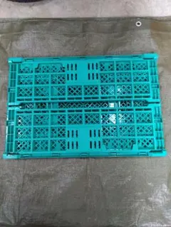 Item thumbnail for item 2c626800-acaf-459b-8a13-a8fe032d5896