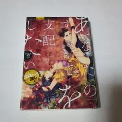 あなたのすべてを支配したい 御曹司の淫靡な独占欲