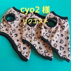 cyo2様専用ページ