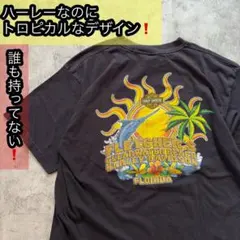 フロリダのビーチ！ハーレーダビッドソン！太陽とカジキが良い味だしてる！