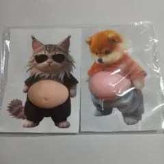 お腹　ぽっこり　シリコン　ぷにぷに　ステッカー　猫　ねこ　柴犬　サングラス　2枚