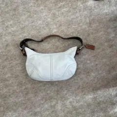 Item thumbnail for item cd16100c-76f7-4650-9e27-531b8516605f