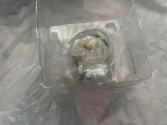 ブルーアーカイブ ブルアカ 一番くじ ちょこのっこ ナギサ