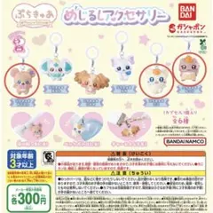 ぷちきゅあ　めじるしアクセサリー　ガチャガチャ