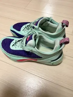 Jordan Luka 2 PF Mint Foam鑑定済 - メルカリ