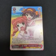 WS みくるをプロデュース ハルヒ 夏の眼福 ハルヒ&みくる PR 4枚セット