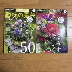 Item thumbnail for item 9cde610e-c2ba-4dd3-99b7-ea0e19089d3d