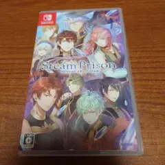 Switch スチームプリズン ビヨンドザスチーム