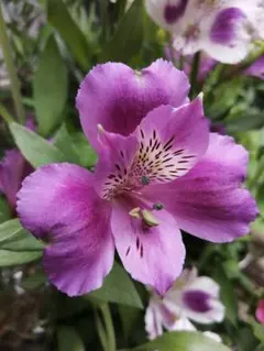 mocchi様 リクエスト 4点 まとめ商品