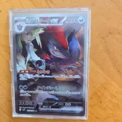 NのソロアークEX ポケモンカード