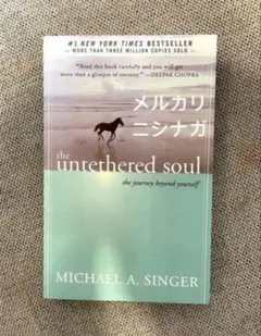 The Untethered Soul