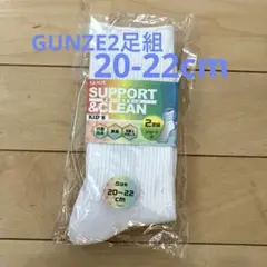 GUNZE2足組　キッズソックス　ショート丈　20-22cm