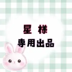 星様 専用ページ♡