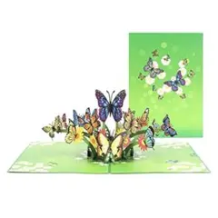 Paper Spiritz 蝶、花 ３Ｄ 立体誕生日、記念日、感謝状、結婚祝い