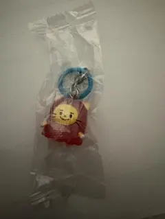 TRUZ めじるしアクセサリー（未開封） 〜キラキラスペシャルラメver.〜