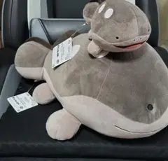 ポケモン ドオー ぬいぐるみ 2点