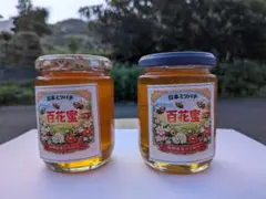 希少日本ミツバチ 天然はちみつ 食べ比べ300g×2本（H7年秋とH8年春採蜜）のサムネイル
