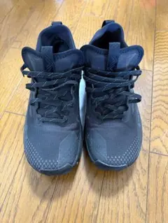 GORE-TEX Nike ランニングシューズ　Pegasus ペガサス